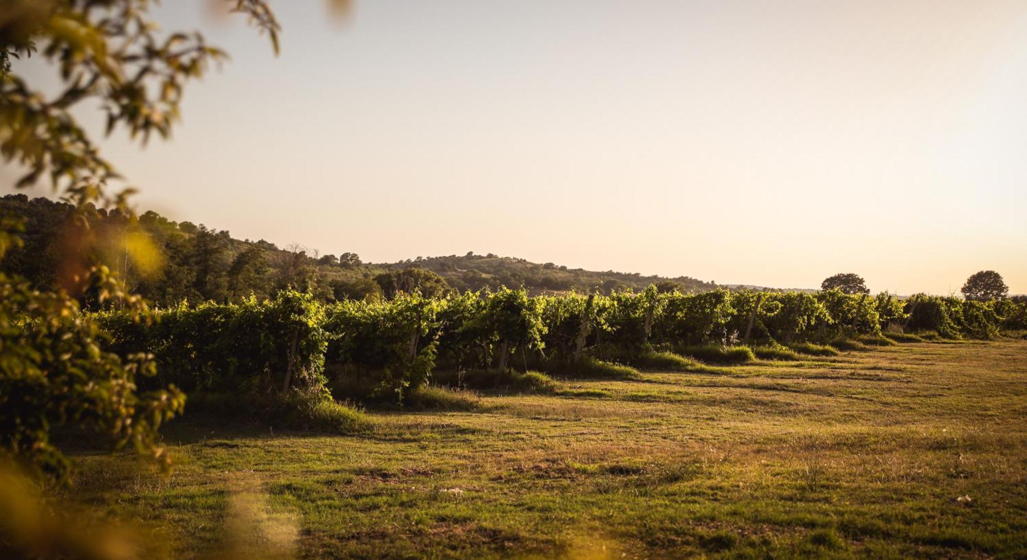 Agriturismo La Vecchia Quercia مونتيميرانو المظهر الخارجي الصورة
