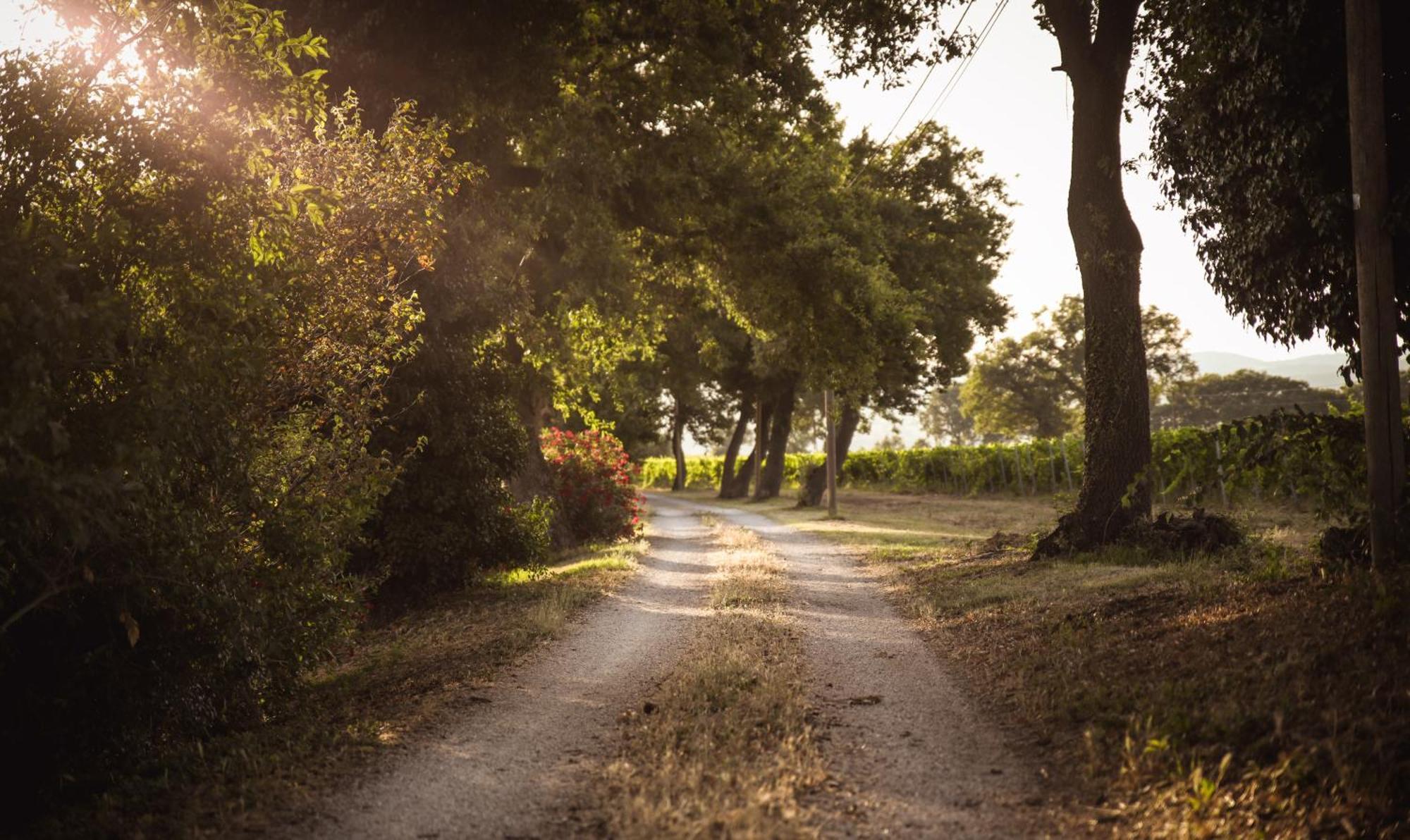 Agriturismo La Vecchia Quercia مونتيميرانو المظهر الخارجي الصورة